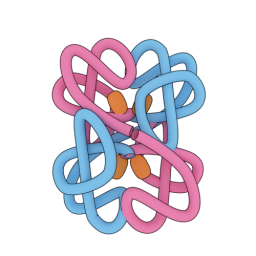 Protein Structure